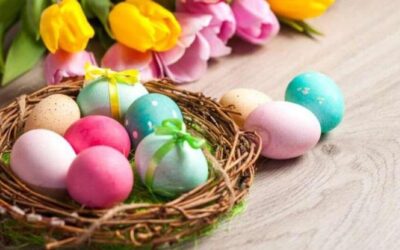 Obavijest o proljetnom odmoru učenika