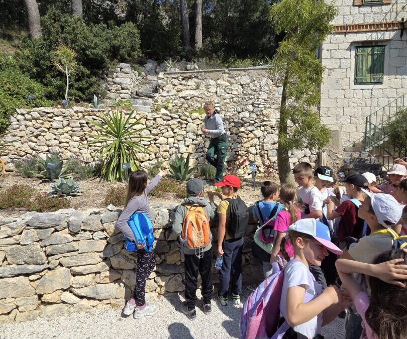 Posjet Botaničkom vrtu na Marjanu