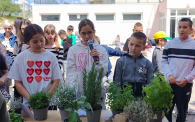 Projektni dan u našoj školi