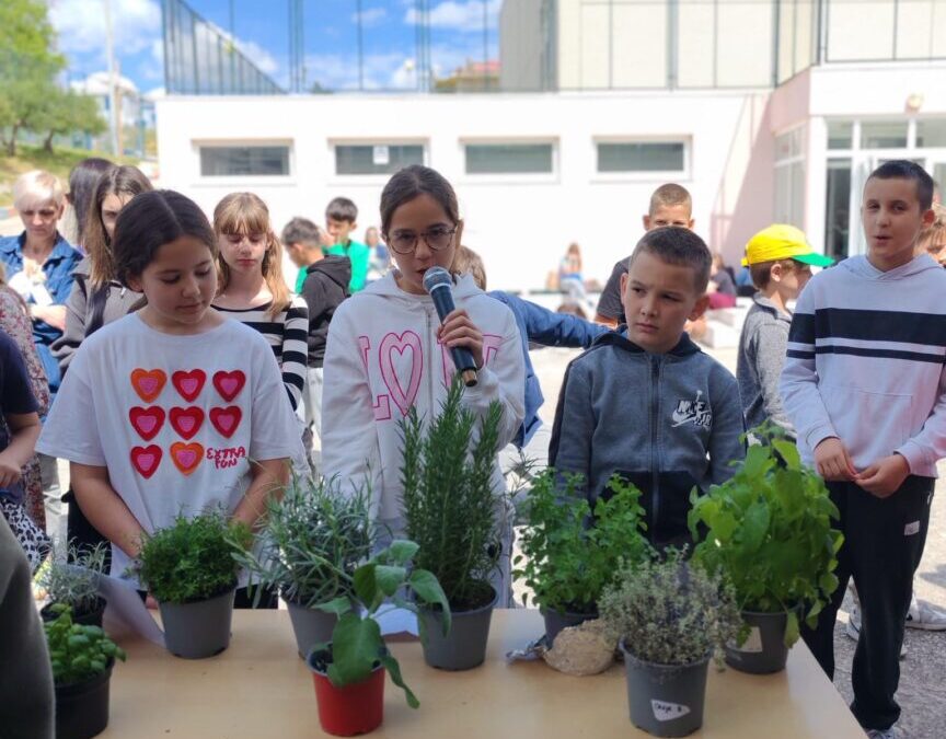 Projektni dan u našoj školi