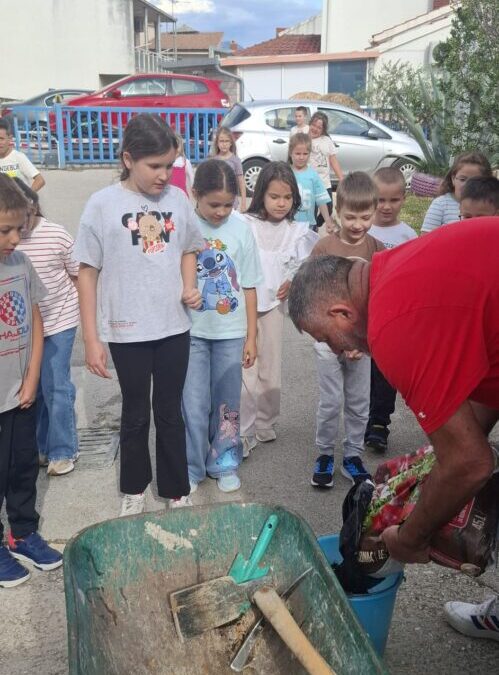 Aromatično bilje u našem školskom vrtu